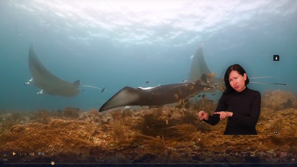 Reproductor de video con un documental submarino y la intérprete con fondo transparente